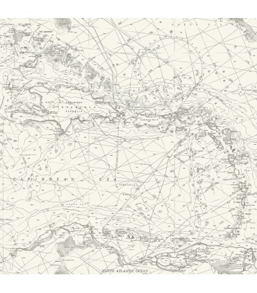 4071-71055 - Charts Black Nautical Chart Wallpaper-Blue Heron