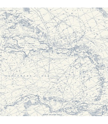 4071-71056 - Charts Navy Nautical Chart Wallpaper-Blue Heron