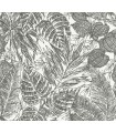 4034-72115 - Brentwood Black Palm Leaves Wallpaper by Scott Living by A Street