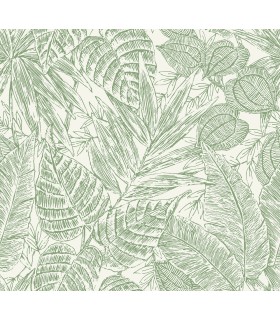 4034-72116 - Brentwood Green Palm Leaves Wallpaper by Scott Living by A Street