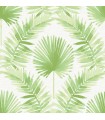4121-26911 - Calla Green Painted Palm Wallpaper by A Street