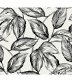 SC20000 - Beckett Sketched Leaves Wallpaper-Seabrook Summer House