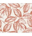 SC20001 - Beckett Sketched Leaves Wallpaper-Seabrook Summer House