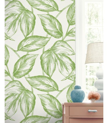 SC20004 - Beckett Sketched Leaves Wallpaper-Seabrook Summer House