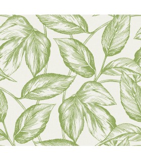 SC20004 - Beckett Sketched Leaves Wallpaper-Seabrook Summer House