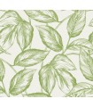 SC20004 - Beckett Sketched Leaves Wallpaper-Seabrook Summer House