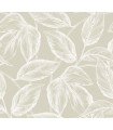 SC20005 - Beckett Sketched Leaves Wallpaper-Seabrook Summer House