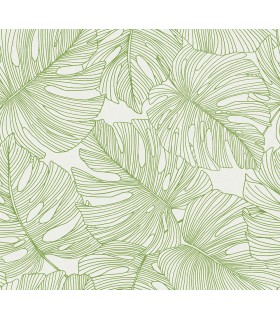 SC20204 - Tarra Monstera Leaf Wallpaper-Seabrook Summer House