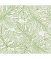 SC20204 - Tarra Monstera Leaf Wallpaper-Seabrook Summer House