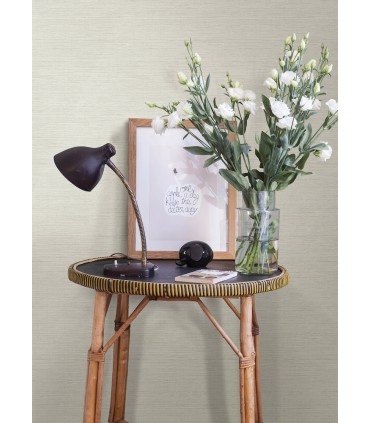 4143-24281 - Agave Off White Faux Grasscloth Wallpaper-Botanica