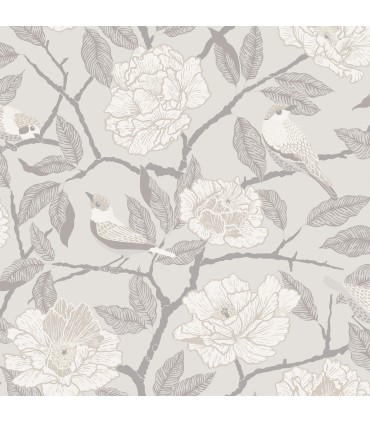 4143-34021 - Bernadina Grey Rosebush Wallpaper-Botanica