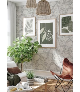 4143-34021 - Bernadina Grey Rosebush Wallpaper-Botanica