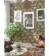 4143-34024 - Bernadina Moss Rosebush Wallpaper-Botanica