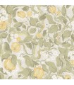 4143-22025 - Kort Sage Fruit and Floral Wallpaper-Botanica