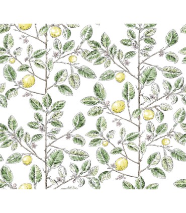 RT7911 - Limoncello Toile Wallpaper-Toiles by York