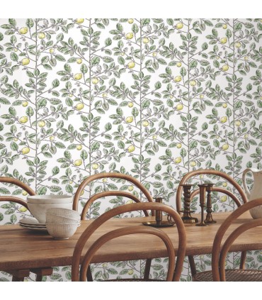 RT7911 - Limoncello Toile Wallpaper-Toiles by York