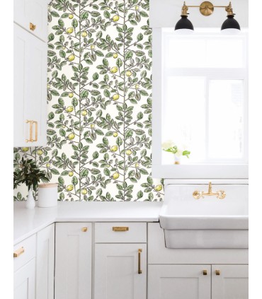 RT7911 - Limoncello Toile Wallpaper-Toiles by York