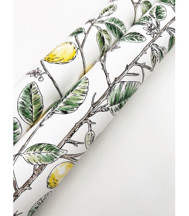RT7911 - Limoncello Toile Wallpaper-Toiles by York