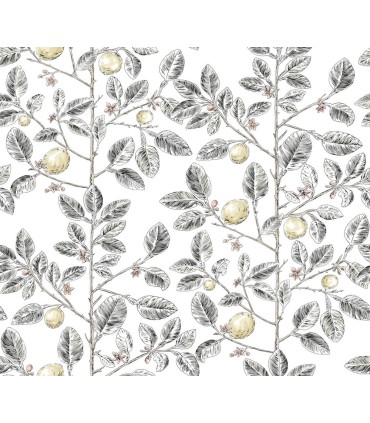 RT7912 - Limoncello Toile Wallpaper-Toiles by York