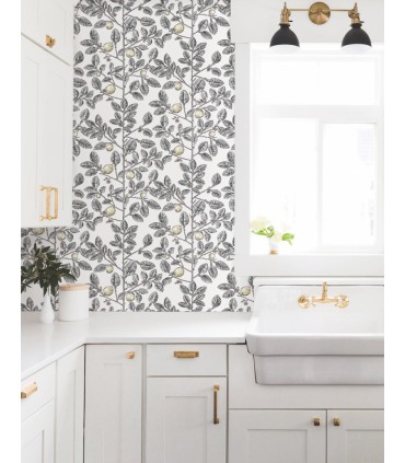 RT7912 - Limoncello Toile Wallpaper-Toiles by York