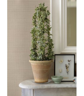 3125-71052 - Spinnaker Peach Netting Wallpaper-Kinfolk