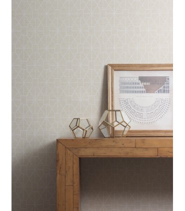4157-25014 - Stevenson Natural Trellis Wallpaper by Advantage