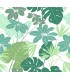 4122-72409 - Medellin Green Rainforest Floor Wallpaper-Terrace