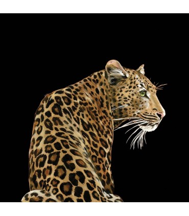 TCW001TCAI5UL005 - Leopardo Solo Mural by Dolce & Gabbana