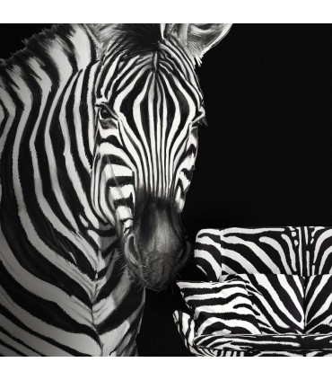 TCW001TCAI5UZ005 - Zebra Mural by Dolce & Gabbana