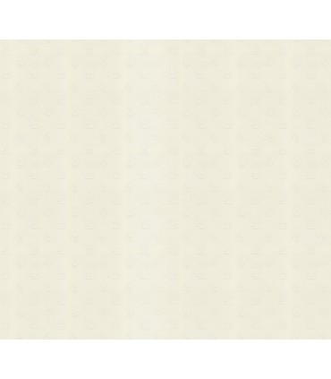 TCW007TCAHOU0073 - DG Mediano Logo Wallpaper by Dolce & Gabbana