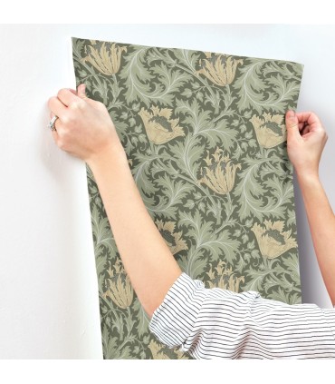 4153-82004 - Anemone Moss Floral Trail Wallpaper-Hidden Treasures