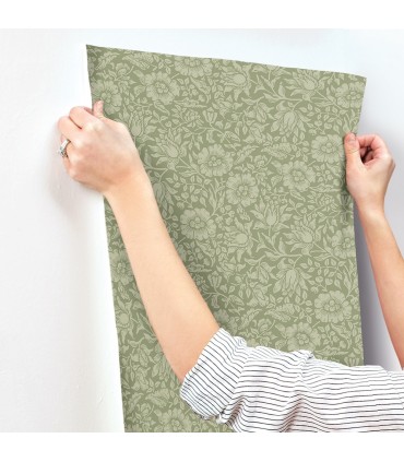 4153-82041 - Mallow Green Floral Vine Wallpaper-Hidden Treasures