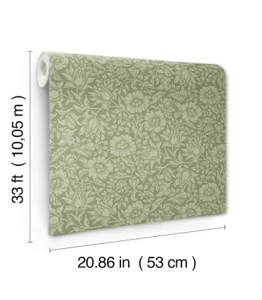 4153-82041 - Mallow Green Floral Vine Wallpaper-Hidden Treasures