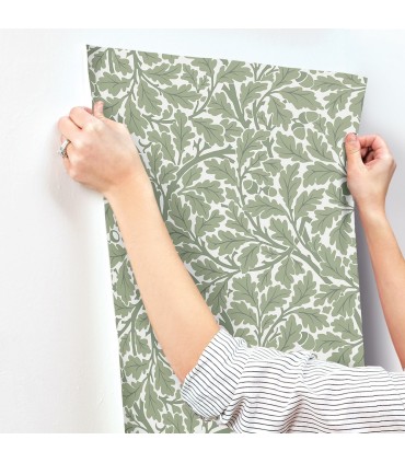 4153-82028 - Oak Tree Green Leaf Wallpaper-Hidden Treasures