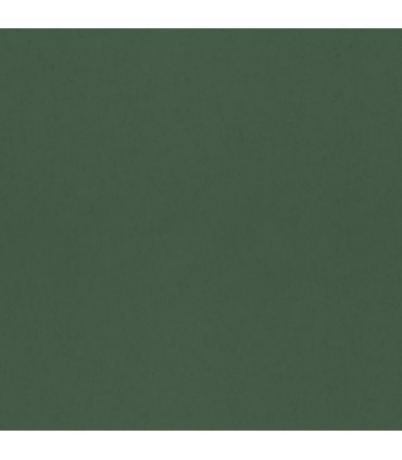 4153-77001 - Dark Green Textured Wallpaper-Hidden Treasures