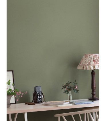 4153-77007 - Parget Olive Textured Wallpaper-Hidden Treasures