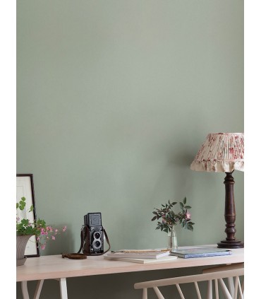 4153-77004 - Parget Light Green Textured Wallpaper-Hidden Treasures
