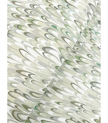 GT4582 - Aslan Wallpaper-Ronald Redding Classics