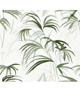 NT6121 - Inky Green Palms Wallpaper-Candice Olson