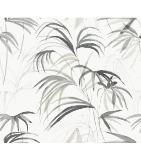 NT6123 - Inky Black Palms Wallpaper-Candice Olson