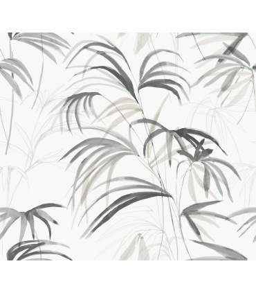 NT6123 - Inky Black Palms Wallpaper-Candice Olson