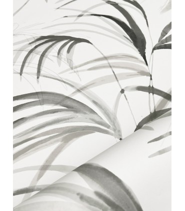 NT6123 - Inky Black Palms Wallpaper-Candice Olson