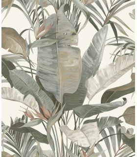 NT6131 - Tropical White Cabana Wallpaper-Candice Olson