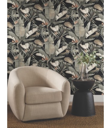 NT6135 - Tropical Black Cabana Wallpaper-Candice Olson