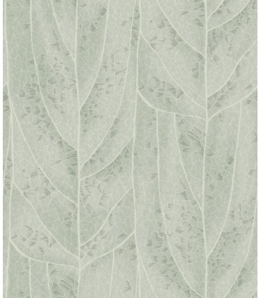 NT6141 - Dicot Spa Leaf Wallpaper-Candice Olson