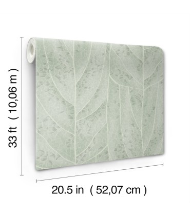 NT6141 - Dicot Spa Leaf Wallpaper-Candice Olson
