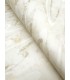 NT6172 - Dreamland Oyster Wallpaper-Candice Olson