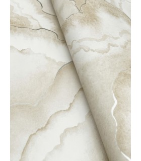 NT6182 - Abalone Sand Fans Wallpaper-Candice Olson