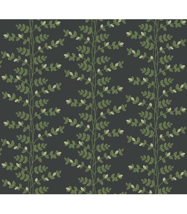 RF7422 - Climbing Vine Black Wallpaper- Rifle Paper Co. 3