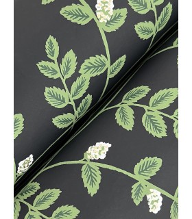 RF7422 - Climbing Vine Black Wallpaper- Rifle Paper Co. 3